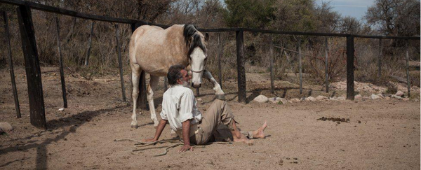 La fascinante historia de los encantadores de caballos en Argentina
