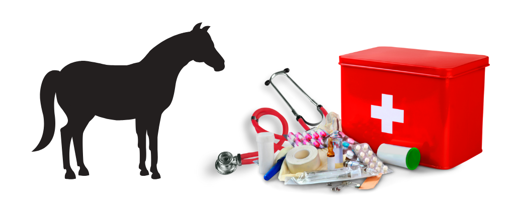 Primeros auxilos para el caballo