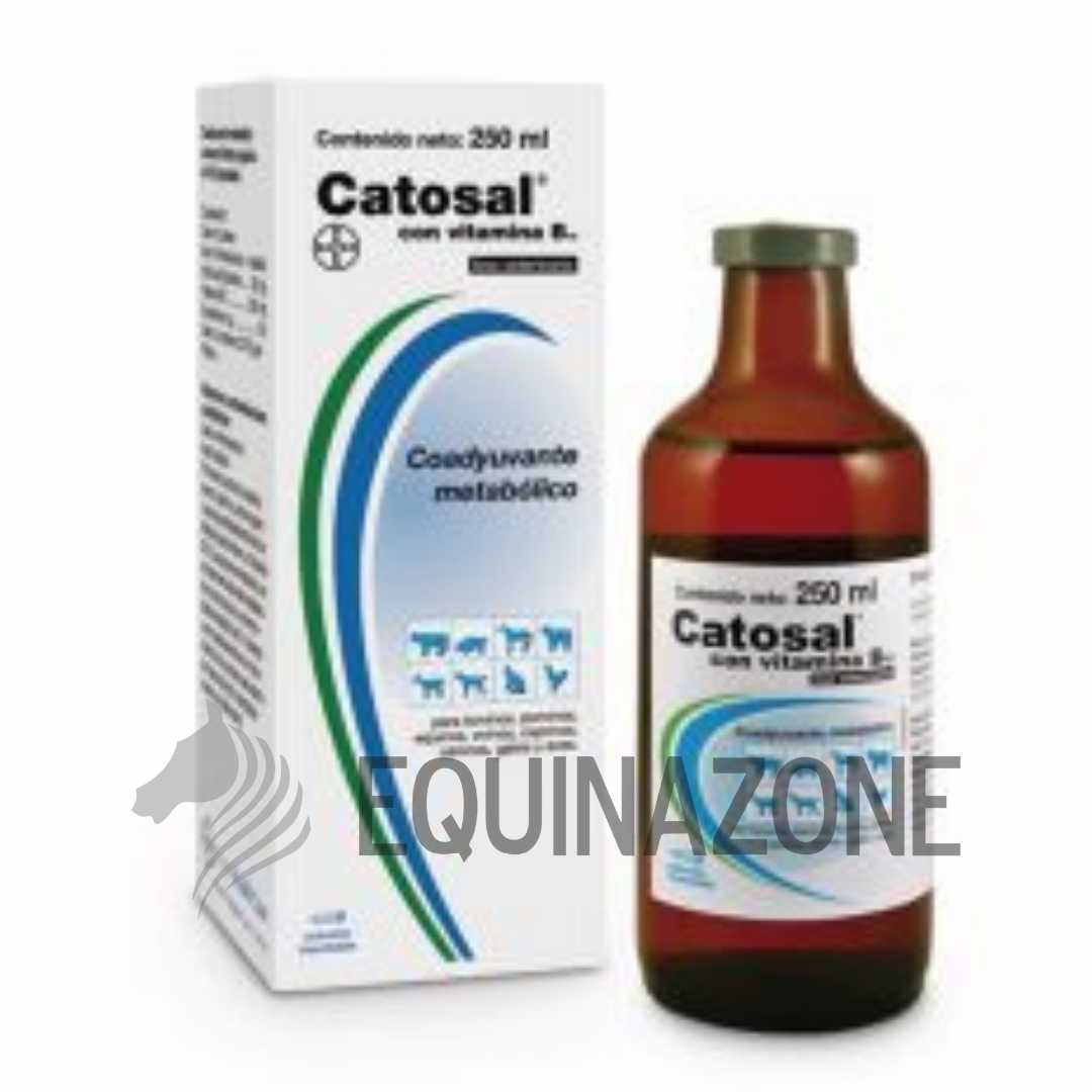 Catosal con Vitamina B12