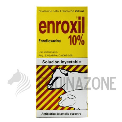 Enroxil 10% - Solución Inyectable