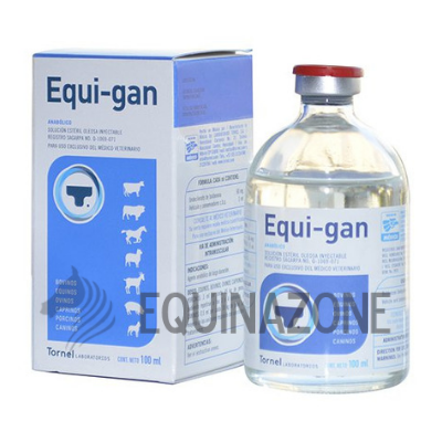 EQUI-GAN