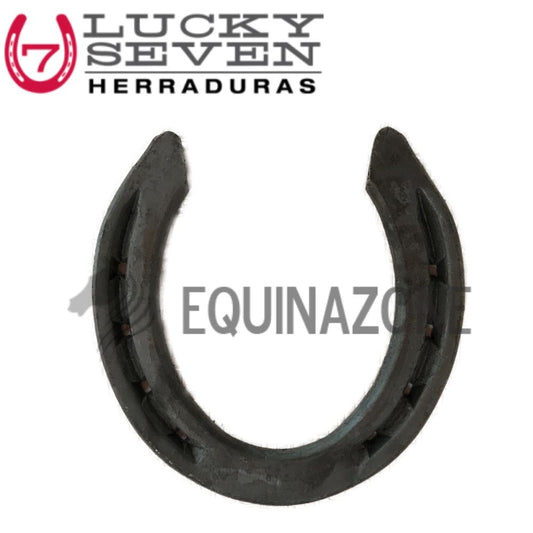 Juego de Herraduras de Trabajo